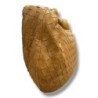 BOTTEGA VENETA JODIE PETIT FORMAT CUIR D AGNEAU 36X21X13CM CAMEL DUSTBAG