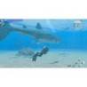 NINTENDO ENDLESS OCEAN LUMINOUS - SWITCH