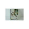 Dark Chronicle [Japan Import] PS2