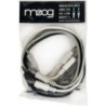 MOOG MOD-DFAM BLACK 2025