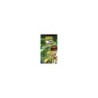 BEN 10 - PROTECTOR OF EARTH - PSP