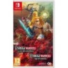 HYRULE WARRIORS L ERE DU FLEAU - SWITCH