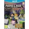 MINECRAFT WII U EDITION