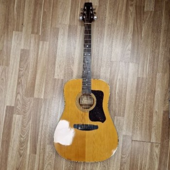 GUITARE JAPANES VANTAGE VW100  (SERIAL) 103055