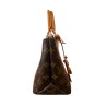 SAC LOUIS VUITTON PETIT PALAIS PM MONOGRAM