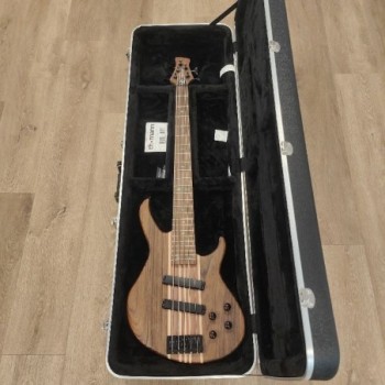  GUITAR BASSE HARLEY BENTON HBZ 2005 DELUXE SERIES + HOUSSE RIGIDE