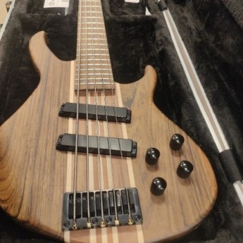  GUITAR BASSE HARLEY BENTON HBZ 2005 DELUXE SERIES + HOUSSE RIGIDE