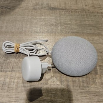 GOOGLE NEST MINI