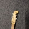 FENDER ELECTRIC XII