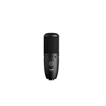 AKG P120 + BRAS