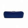 SAC CHANEL BLUE CAVIAR TINELESS CLASSIQUE