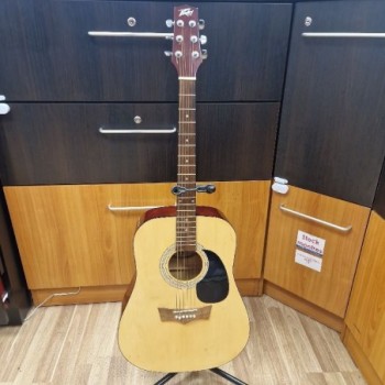 GUITARE ACOUSTIQUE PEAVEY AGP6