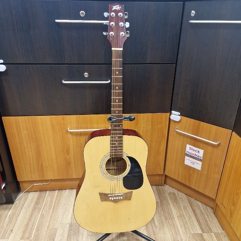GUITARE ACOUSTIQUE PEAVEY AGP6