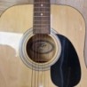 GUITARE ACOUSTIQUE PEAVEY AGP6