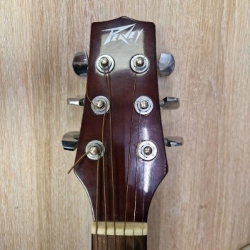 GUITARE ACOUSTIQUE PEAVEY AGP6