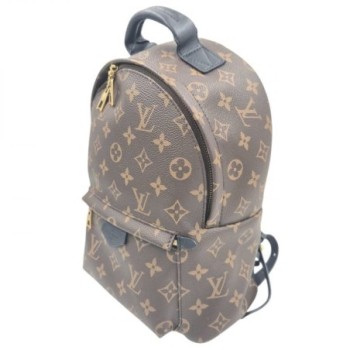 LOUIS VUITTON PALM SPRINGS MOYEN 29 X 22 X 13 CM