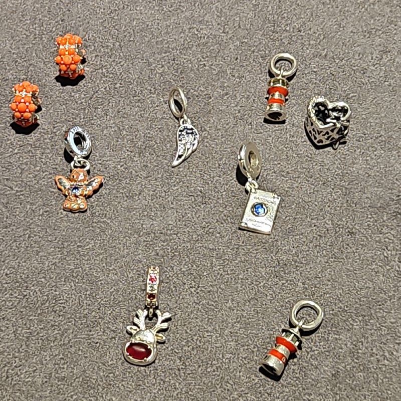 CHARMS PANDORA