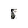 SHINOBIDO - PSP