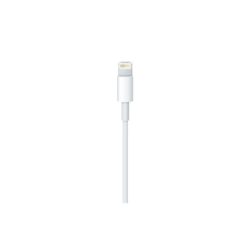 APPLE LIGHTNING TO USB CABLE 0.5 M