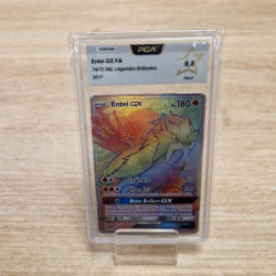 ENTEI GX FA  VF PCA 9.5