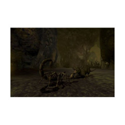 JEU WII DEADLY CREATURES