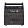 AMPLI ROLAND PM-10