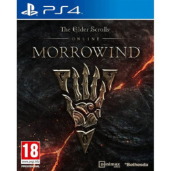 THE ELDER SCROLLS ONLINE MORROWIND - PS4