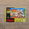 GOOF TROOP NES