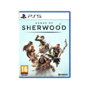 GANGS OF SHERWOOD PS5