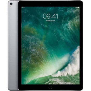 IPAD PRO 12.9 WI-FI 64GB GRIS