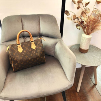 SAC A MAIN LOUIS VUITTON SPEEDY 25