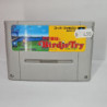 BIRDIE TRY SUPER NES JAPAN IMPORT